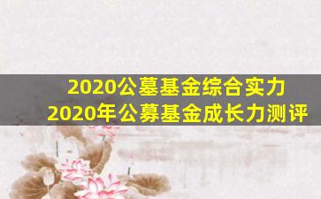 2020公墓基金综合实力 2020年公募基金成长力测评